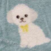 ヒメ日記 2025/01/26 19:22 投稿 りの 萌えカワ