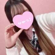 ヒメ日記 2025/02/05 14:22 投稿 りの 萌えカワ