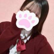 ヒメ日記 2025/03/12 20:23 投稿 りの 萌えカワ