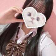 ヒメ日記 2025/04/07 19:11 投稿 りの 萌えカワ