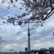 ヒメ日記 2025/04/07 21:22 投稿 りの 萌えカワ