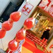 ヒメ日記 2025/04/08 15:32 投稿 りの 萌えカワ