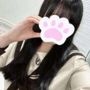 ヒメ日記 2025/04/13 23:47 投稿 りの 萌えカワ