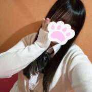 ヒメ日記 2025/04/16 20:22 投稿 りの 萌えカワ