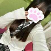 ヒメ日記 2025/05/02 13:42 投稿 りの 萌えカワ