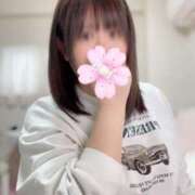 ヒメ日記 2025/04/05 20:36 投稿 撫子（なでこ） チューリップ宇都宮店