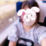 ヒメ日記 2025/09/04 15:29 投稿 撫子（なでこ） チューリップ宇都宮店