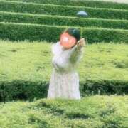 ヒメ日記 2025/10/07 08:19 投稿 撫子（なでこ） チューリップ宇都宮店