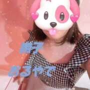 ヒメ日記 2025/12/09 06:29 投稿 撫子（なでこ） チューリップ宇都宮店