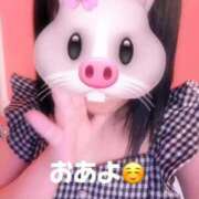 ヒメ日記 2025/12/24 06:33 投稿 撫子（なでこ） チューリップ宇都宮店