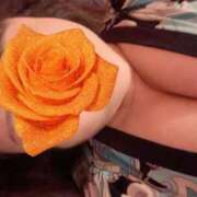 ヒメ日記 2026/01/19 21:19 投稿 菜々子（ななこ） チューリップ宇都宮店