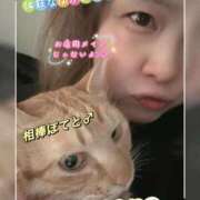 ヒメ日記 2025/02/12 14:39 投稿 由果（ゆか） チューリップ宇都宮店