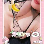 ヒメ日記 2025/04/06 10:09 投稿 由果（ゆか） チューリップ宇都宮店