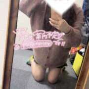 ヒメ日記 2025/04/29 12:07 投稿 くるみ consolation