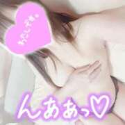 ヒメ日記 2025/10/25 09:00 投稿 くるみ consolation