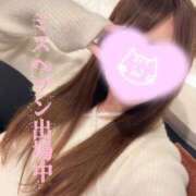 ヒメ日記 2025/10/29 16:00 投稿 くるみ consolation