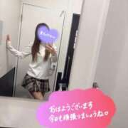 ヒメ日記 2025/11/01 09:45 投稿 くるみ consolation