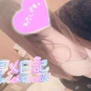 ヒメ日記 2025/11/06 12:00 投稿 くるみ consolation