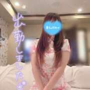 ヒメ日記 2025/11/13 09:40 投稿 くるみ consolation