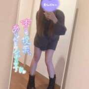 ヒメ日記 2025/11/19 13:01 投稿 くるみ consolation