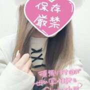 ヒメ日記 2025/11/25 12:18 投稿 くるみ consolation