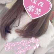 ヒメ日記 2025/11/29 09:56 投稿 くるみ consolation