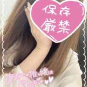 ヒメ日記 2026/01/22 09:56 投稿 くるみ consolation