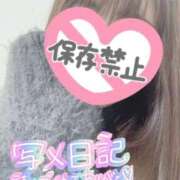 ヒメ日記 2026/01/24 11:21 投稿 くるみ consolation