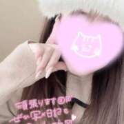 ヒメ日記 2026/01/30 22:59 投稿 くるみ consolation