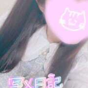 ヒメ日記 2026/02/25 19:49 投稿 くるみ consolation