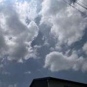 ヒメ日記 2025/07/10 11:01 投稿 しの 一夜の華