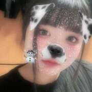 ヒメ日記 2024/12/31 19:14 投稿 ねこ ぽっちゃりきぶん