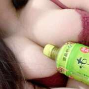 ヒメ日記 2025/01/04 11:57 投稿 ねこ ぽっちゃりきぶん