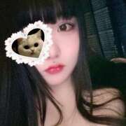 ヒメ日記 2025/01/13 14:41 投稿 ねこ ぽっちゃりきぶん