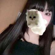 ヒメ日記 2025/01/16 15:55 投稿 ねこ ぽっちゃりきぶん