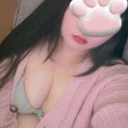 ヒメ日記 2025/01/17 15:04 投稿 ねこ ぽっちゃりきぶん