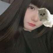 ヒメ日記 2025/02/06 13:37 投稿 ねこ ぽっちゃりきぶん