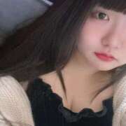 ヒメ日記 2025/02/13 17:50 投稿 ねこ ぽっちゃりきぶん