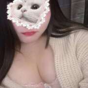 ヒメ日記 2025/02/25 12:01 投稿 ねこ ぽっちゃりきぶん