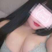 ヒメ日記 2025/02/27 15:03 投稿 ねこ ぽっちゃりきぶん