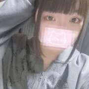 ヒメ日記 2025/03/12 17:53 投稿 ねこ ぽっちゃりきぶん