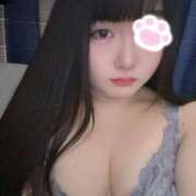 ヒメ日記 2025/03/13 15:22 投稿 ねこ ぽっちゃりきぶん