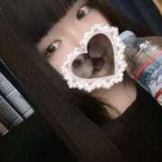 ヒメ日記 2025/03/13 19:03 投稿 ねこ ぽっちゃりきぶん