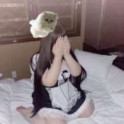 ヒメ日記 2025/03/14 17:00 投稿 ねこ ぽっちゃりきぶん