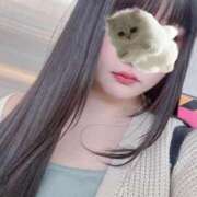 ヒメ日記 2025/03/22 15:10 投稿 ねこ ぽっちゃりきぶん