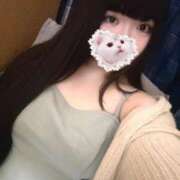 ヒメ日記 2025/03/22 18:05 投稿 ねこ ぽっちゃりきぶん