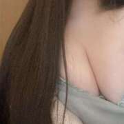 ヒメ日記 2025/03/23 14:56 投稿 ねこ ぽっちゃりきぶん