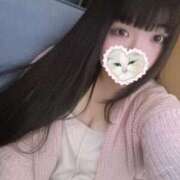 ヒメ日記 2025/03/24 12:01 投稿 ねこ ぽっちゃりきぶん