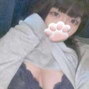 ヒメ日記 2025/03/27 12:03 投稿 ねこ ぽっちゃりきぶん