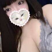 ヒメ日記 2025/03/28 17:04 投稿 ねこ ぽっちゃりきぶん